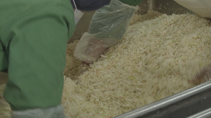 Rice variant 4